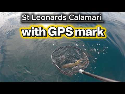  St Leonards Calamari with GPS Mark, back out on Port Phillip Bay with Clicks Jigs