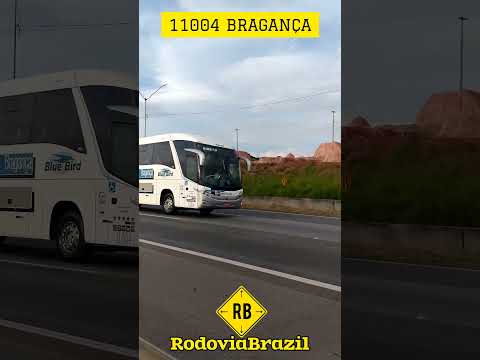 DE BRAGANÇA PARA SÃO PAULO DIREITO NA BR 381 KM 41 #rodoviabrazil #bus #busologia #shorts