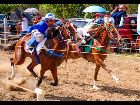 CORRIDA DE CAVALOS - IV TORNEIO DE POTROS FILHOS DO RATINHO 2026 - ALTO ALEGRE - RORAIMA PART. 3
