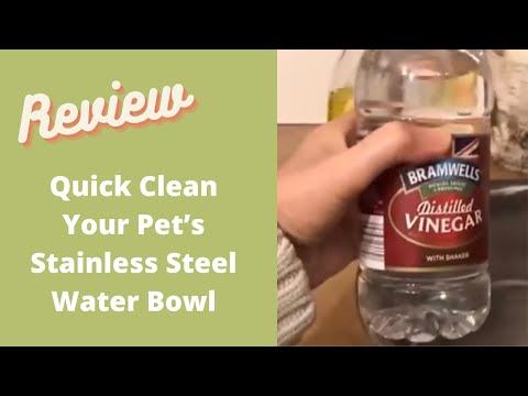 How to Remove limescale easily from your pet's stainless steel water bowl. (no scrubbing)