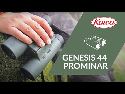 Бинокль премиум класса Kowa Genesis Prominar XD 10.5x44 914779 - фото 1 - id-p1481128237