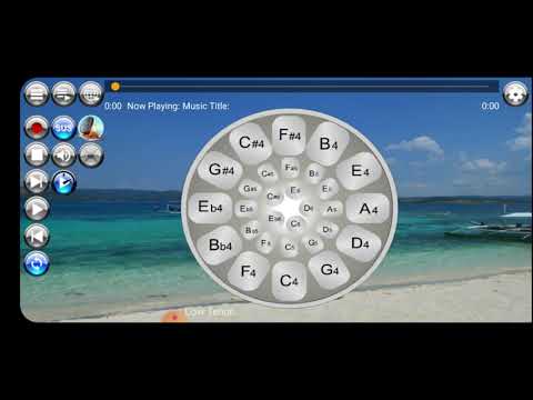Musical Steel Drums video thumbnail