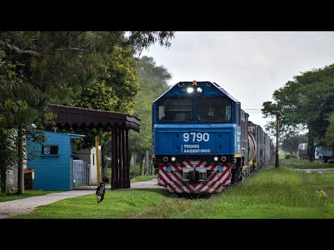 9004/9790-TAC(LB)-El Tío,Cba-Vagones Desviados y Tren Cargado.