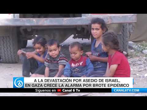 Vídeo: A la devastación por asedio de Israel, en Gaza crece la alarma por brote epidémico