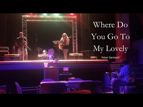 Where Do You Go To My Lovely (live) || Peter Sarstedt (cover)