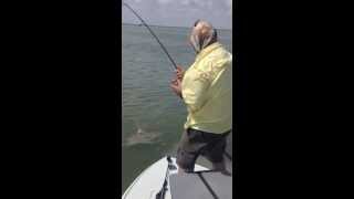 preview picture of video 'Big Flamingo Shark Eats Ladyfish on Ultra-lite Rod!'