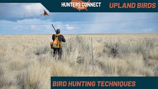 How to Hit More Upland Birds