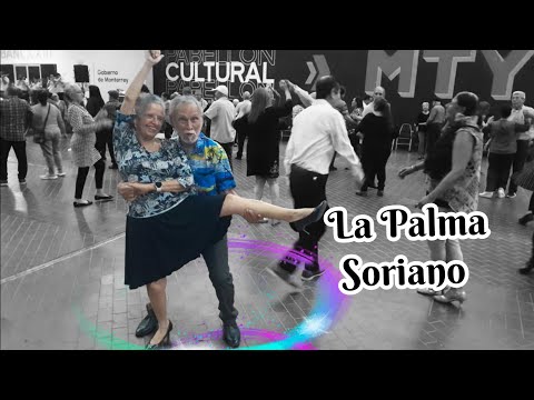 ✔️La palma soriano