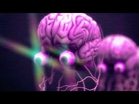 Miniatura de BRAIN ROTT
