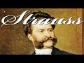The Best Of Strauss