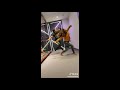 All Telugu DJ Songs Videos Telugu DJ Songs Tik Tok Videos