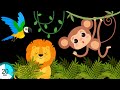MONKEY S JUNGLE ADVENTURE BABY SENSORY HIGH CONTRAST VISUAL STIMULATION GREAT BABY MUSIC