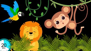 MONKEY&#39;S JUNGLE ADVENTURE | BABY SENSORY | HIGH CONTRAST |VISUAL STIMULATION | GREAT BABY MUSIC