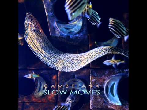 Cambriana - Slow Moves