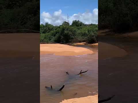 ARACRUZ-ES, GURIRI-ES, serenata e trabalho na estrada