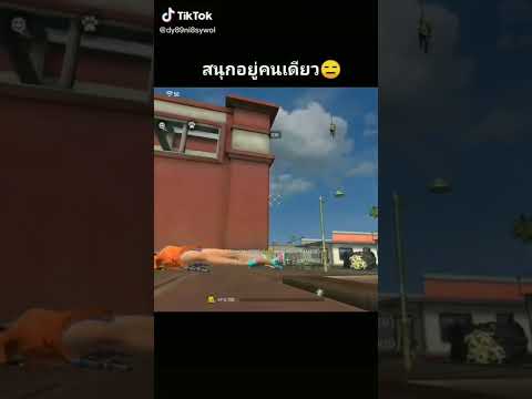 โปรฟีฟาย