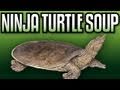 Ninja Turtle Soup