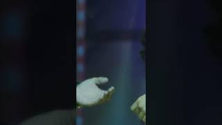 Download lagu #shivanya #rithik //romantic dance video//#whatsapp_status mp3