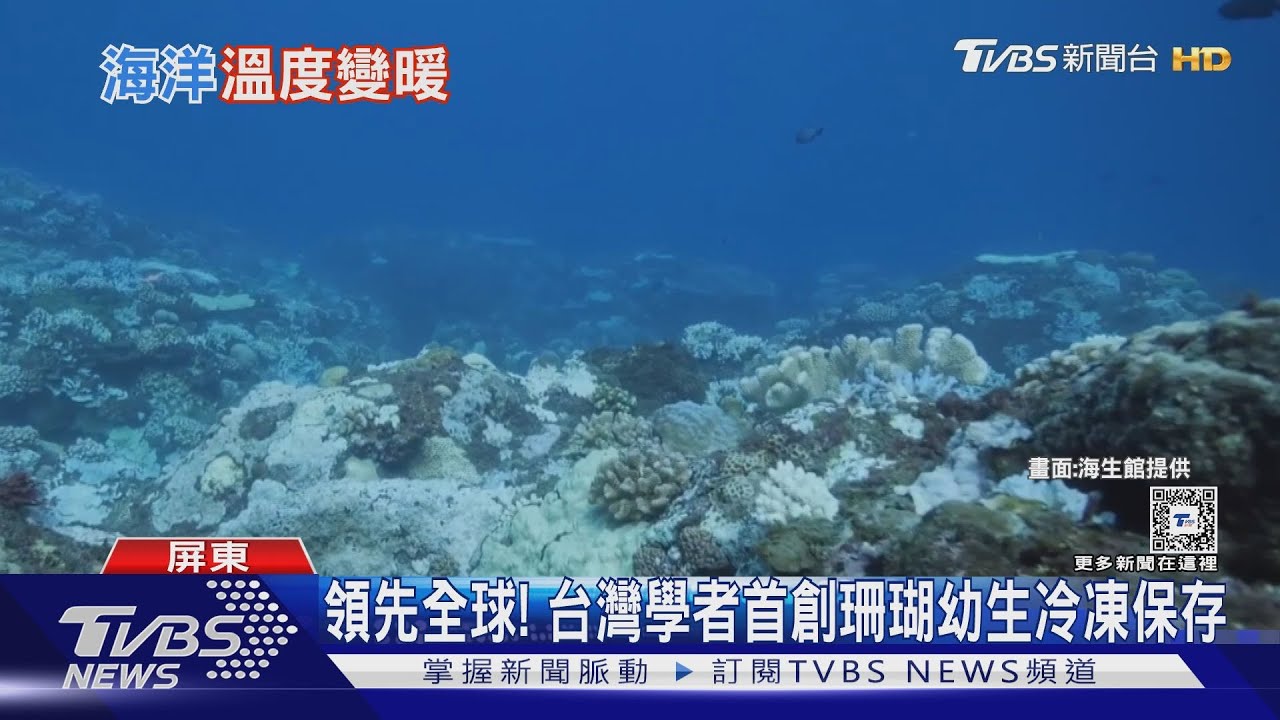 熱浪暴雨氣候變遷恐衝擊數百萬人生命！　台灣學者領先全球創「這個」保存救海洋