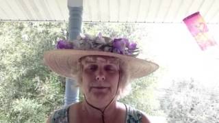 Sometimes you just have to jump