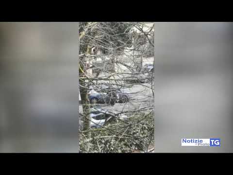 2020-03-19 PRATO - GIOVANE CON PISTOLA IN STRADA, INTERVIENE POLIZIA