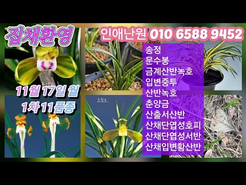 유튜브 썸네일