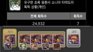 [소니아 타마도라 강림] 라르그×리나 pt. (Feat. 니드호그 시스템)