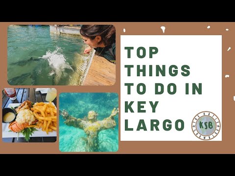 The Absolute Best Things To Do When You Visit Key Largo