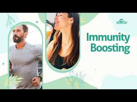 Sj Wellness
