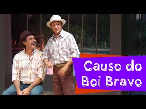 CAUSO DO BOI BRAVO