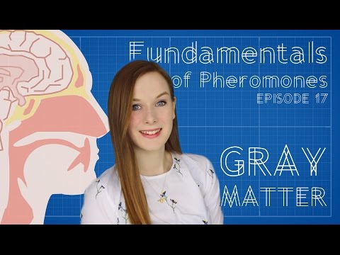 Can Humans Smell Fear? The Fundamentals of Pheromones