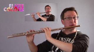 Duet - François Devienne - The Flute Colors way!
