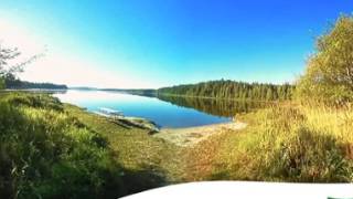 Ozette Campground Video
