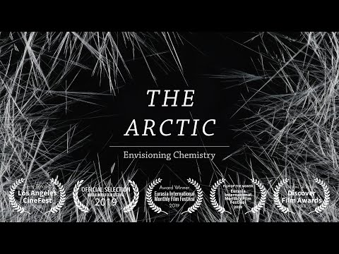 THE ARCTIC