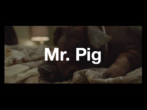 Mr. Pig (Clip 1)