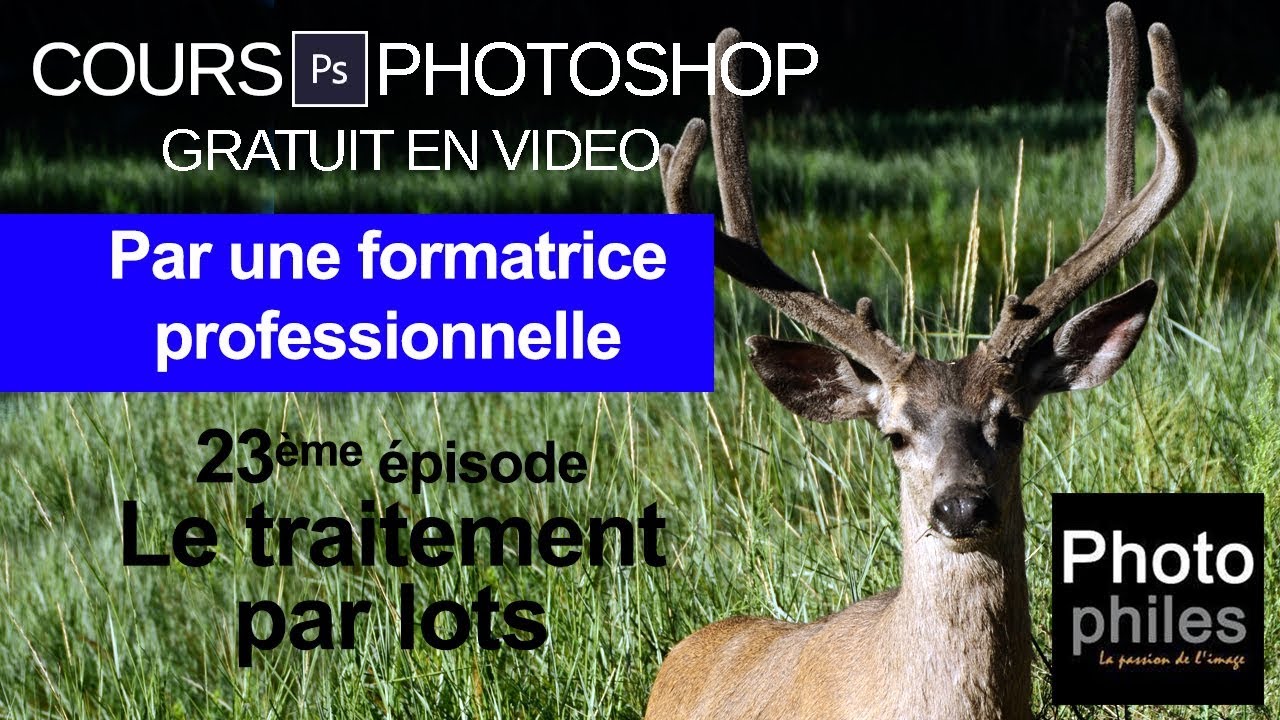 N°23 Cours PHOTOSHOP : Traiter plusieurs images en même temps