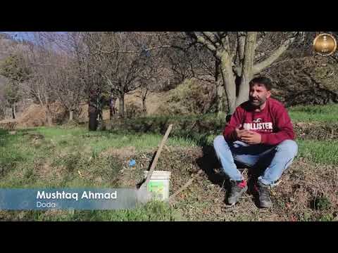 Empowered by the Kisan Credit Card