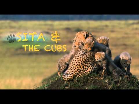 African Cats (Featurette: Field Guide 1)