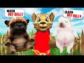 I ADOPTED PIBBLES IN GMOD Full Movie