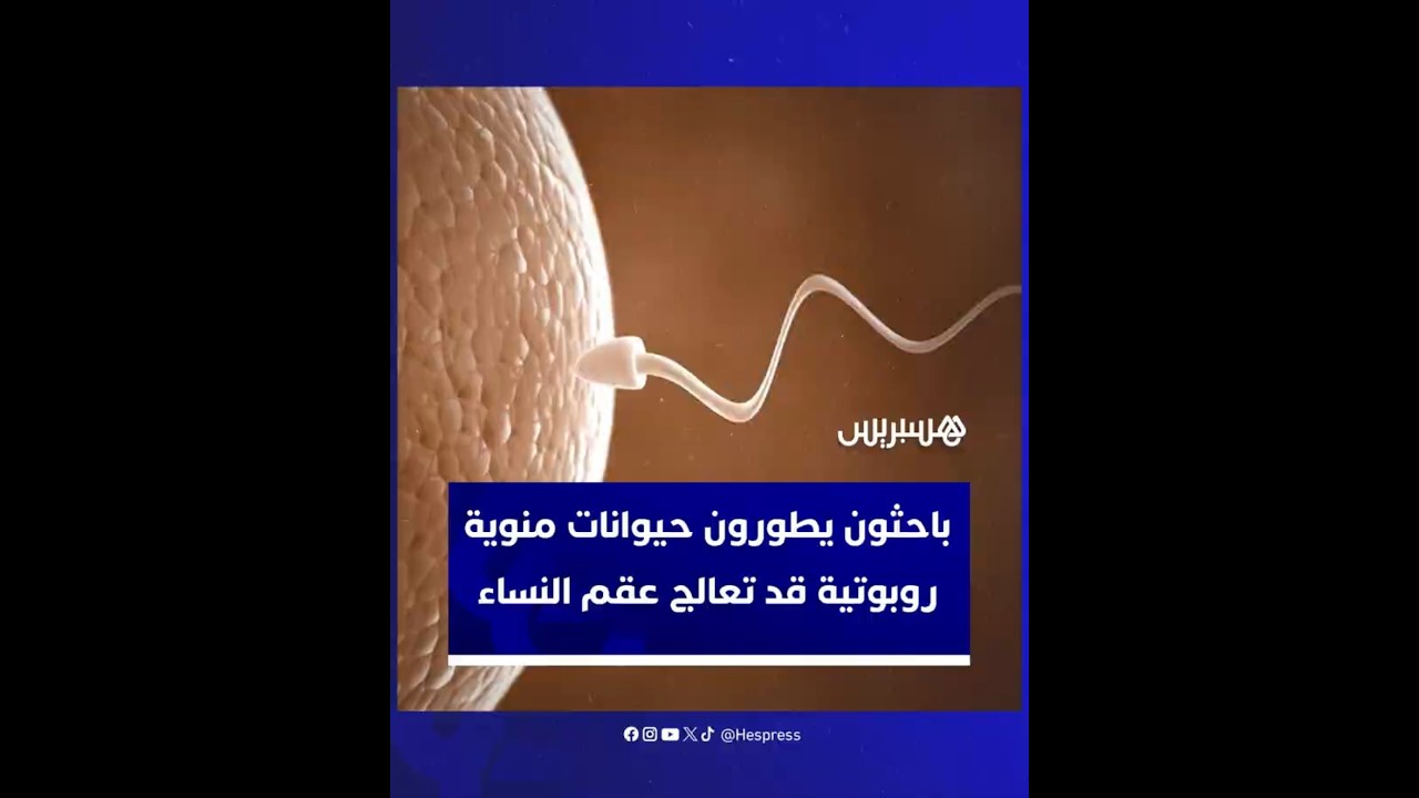 باحثون يطورون حيوانات منوية روبوتية تهدف إلى علاج أنواع مختلفة من العقم لدى النساء thumbnail