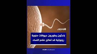 باحثون يطورون حيوانات منوية روبوتية تهدف إلى علاج أنواع مختلفة من العقم لدى النساء thumbnail
