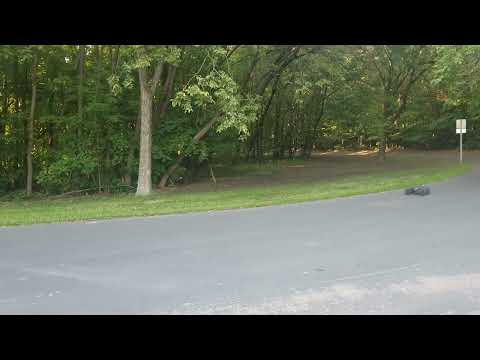 Traxxas Sledge stock speed test