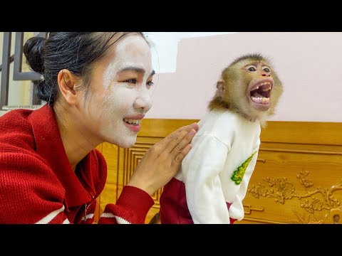 Pupu Monkey Gets Scared by Mom’s Face Mask 😂