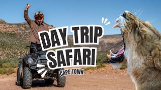 Download lagu Big 5 Day Trip Safaris | Cape Town | Aquila Private Game Reserve & Spa mp3