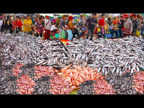 World's massive fish supplies, amazing Cambodian fish markets in Phnom Penh