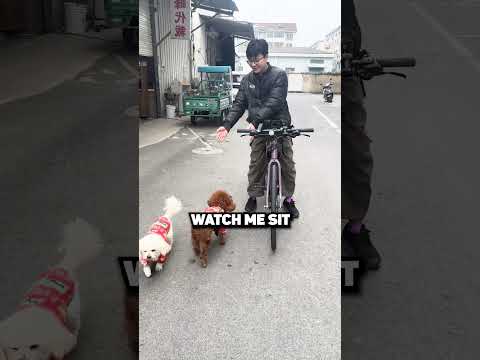 Dad, I’m the boss! 😎👊