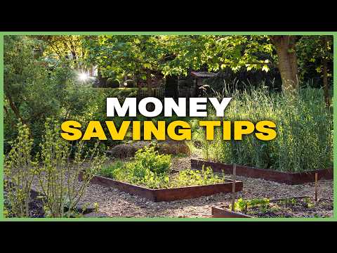 Stop Wasting Money: DIY Garden Features & Sustainable Pest Control