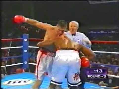 Andrew Golota vs Michael Grant