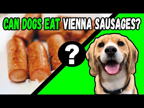 YouTube video about: Can dogs eat vienna sausages?