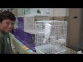 St. Augustine Bird Expo